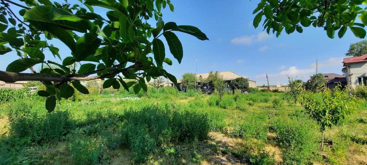 The Lichk Lodge 외부 사진
