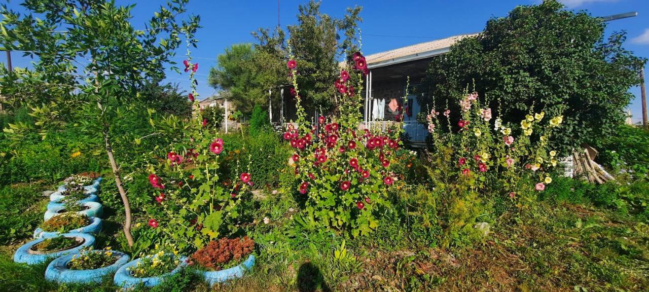The Lichk Lodge 외부 사진